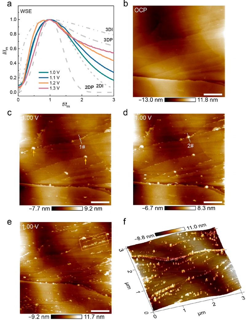 張強(qiáng)教授，最新JACS！