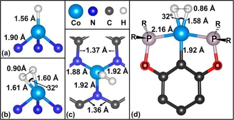 8篇催化頂刊：Nat. Commun.、JACS、Angew.、Nat. Catal.、Nano Energy等成果