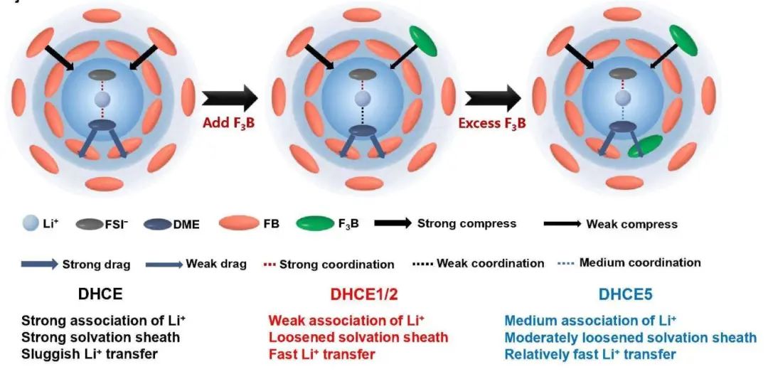 ?華科Chemical Science：拔河效應(yīng)調(diào)整鋰離子輸運(yùn)提高了鋰金屬電池的倍率能力