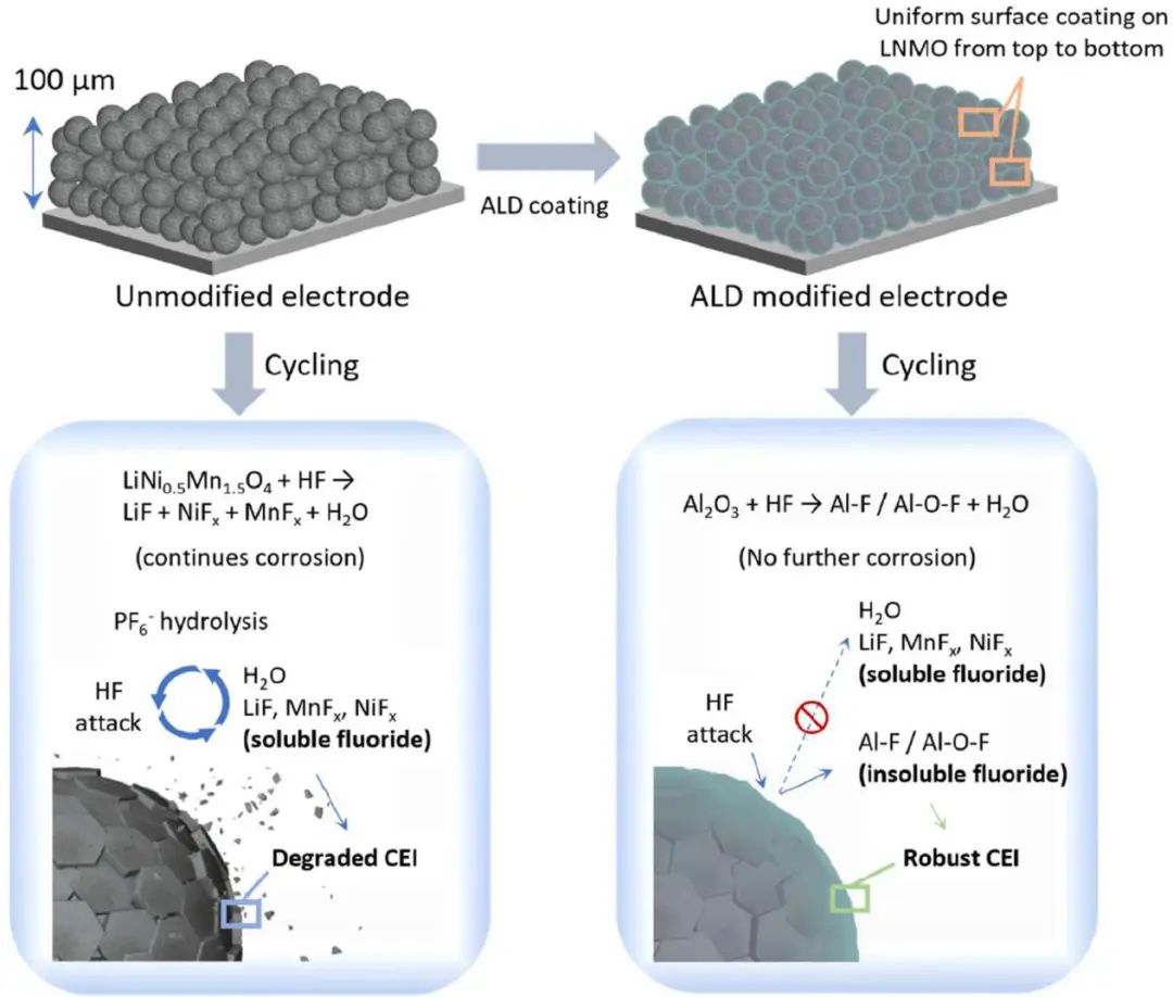 電池日報(bào)|| 8篇頂刊！EES、Sci. Adv.、AEM、AFM、ACS Nano、EnSM等成果