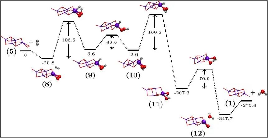 8篇催化頂刊集錦：Angew.、JACS、AEM、ACS Catal.等成果