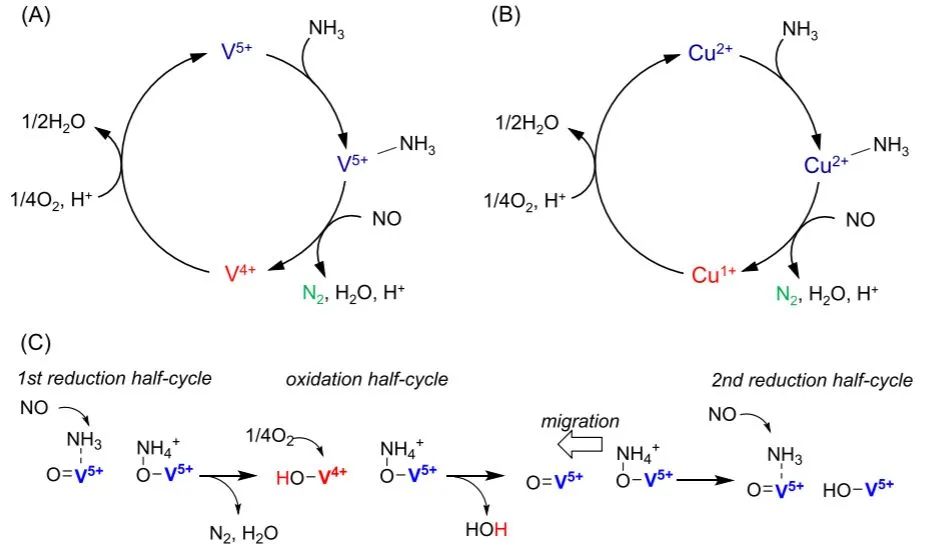 ACS Catal.: 釩氧化物和銅沸石催化劑上的類似NH3-SCR機(jī)制