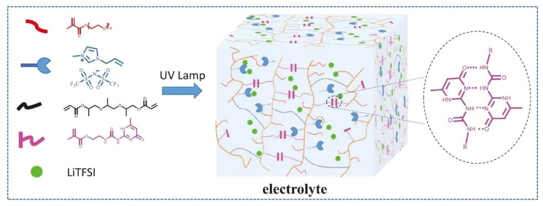 陳飛/徐斌Small：高離子電導(dǎo)超分子網(wǎng)絡(luò)結(jié)構(gòu)凝膠聚合物電解質(zhì)
