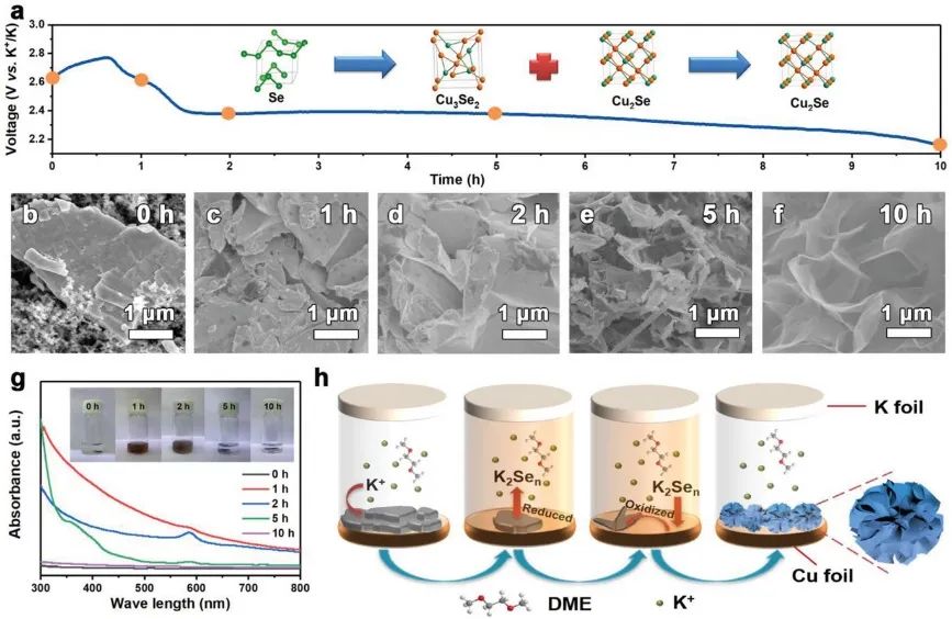 吉大Adv. Sci.：原位硒化制備硒化亞銅電極實現(xiàn)高效鉀/鈉離子存儲