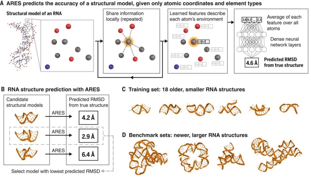 斯坦福大學(xué)Science：RNA結(jié)構(gòu)的幾何深度學(xué)習(xí)