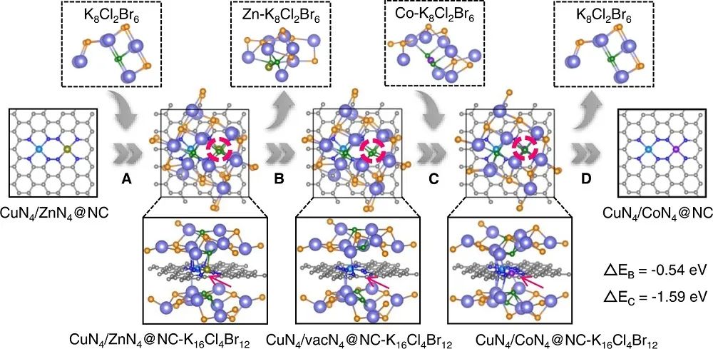 李映偉&房瑞琪，最新Nature子刊！