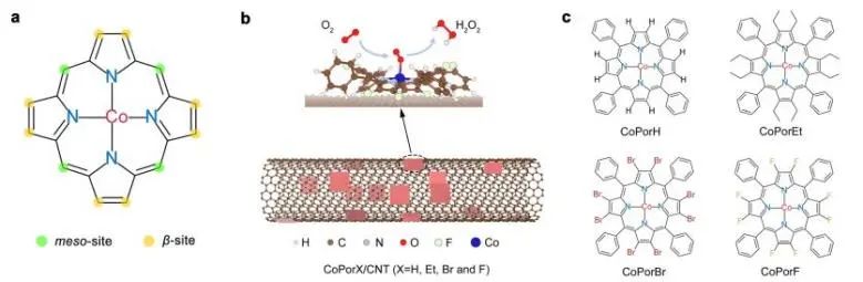 悉尼大學(xué)/日本東大EES：H2O2選擇性超90%! 多相分子Co-N-C催化劑實現(xiàn)高效電化學(xué)合成H2O2