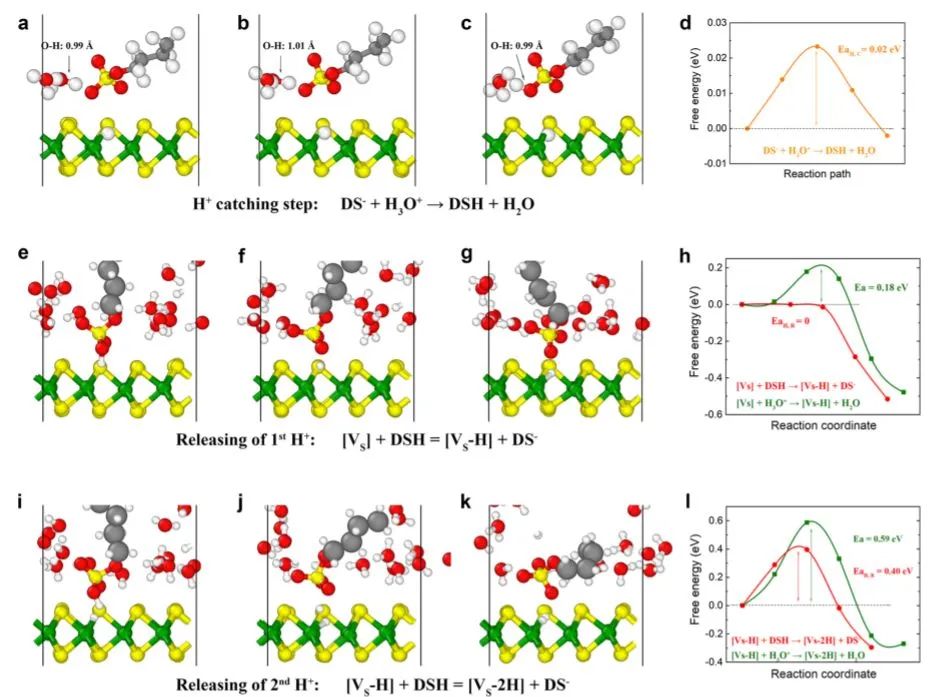 ACS Catal.：分子質(zhì)子介體增強(qiáng)單層MoS2的電催化HER活性