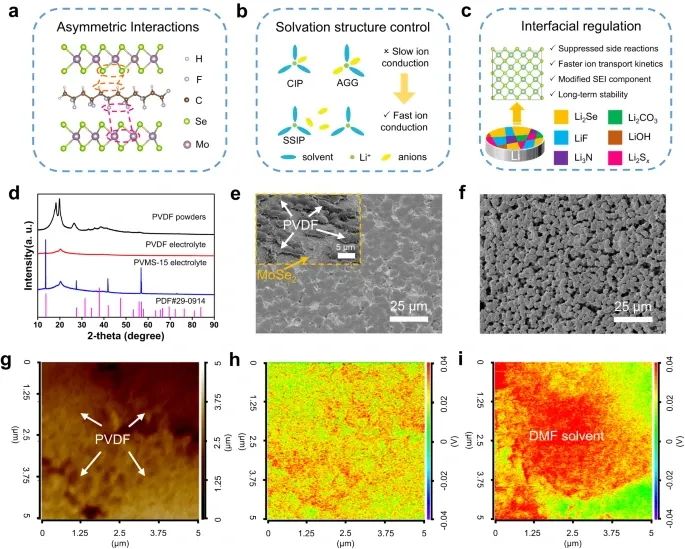 浙大陸盈盈，最新Nature子刊！