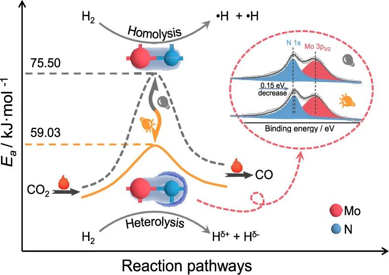 催化精選，8篇頂刊：JACS、Angew.、ACS Energy Lett.、ACS Nano及ACS Catal.