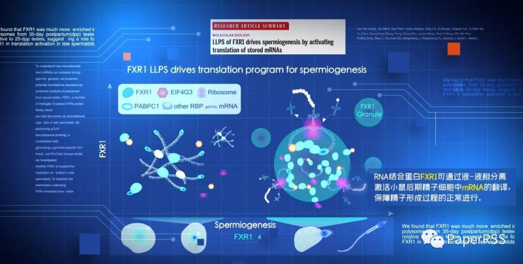 院士點(diǎn)贊：不唯經(jīng)費(fèi)不唯論文！登上Science的她，7年帶領(lǐng)7位博士，回答一個(gè)重要問題