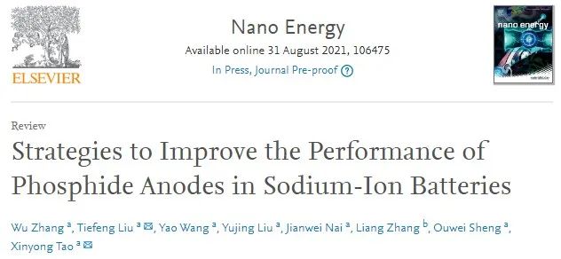 浙工大陶新永/劉鐵峰Nano Energy：提高鈉離子電池磷化物負(fù)極性能的策略