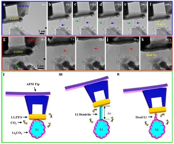 燕大ACS Nano：固態(tài)鋰金屬電池中鋰穿透固態(tài)電解質(zhì)和死鋰動力學(xué)的原位可視化