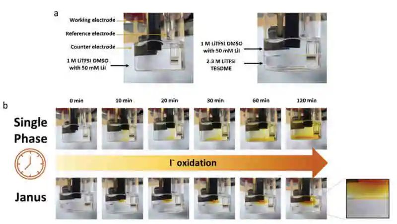 最新AEM：鋰氧電池可持續(xù)氧化還原調(diào)節(jié)的液基Janus電解液