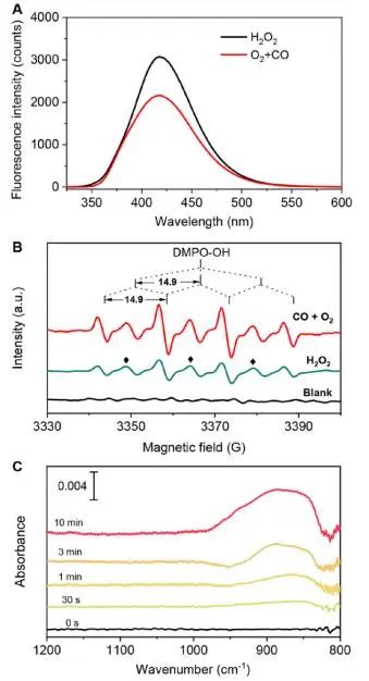 催化頂刊集錦：JACS、Nature子刊、Adv. Sci.、Nano Energy、ACS Nano等