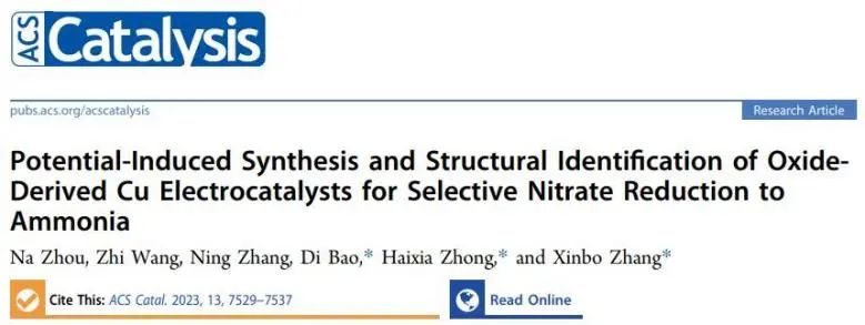 張新波/鐘海霞/鮑迪ACS Catalysis：電化學(xué)誘導(dǎo)氧化銅催化劑合成，用于選擇性硝酸還原制氨