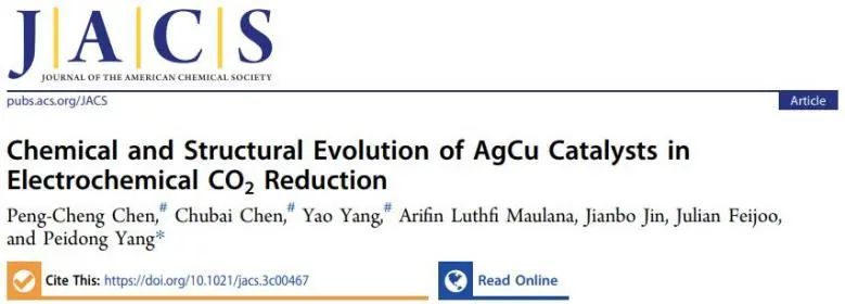 JACS：揭示電化學(xué)CO2RR過程中AgCu催化劑的化學(xué)和結(jié)構(gòu)演變