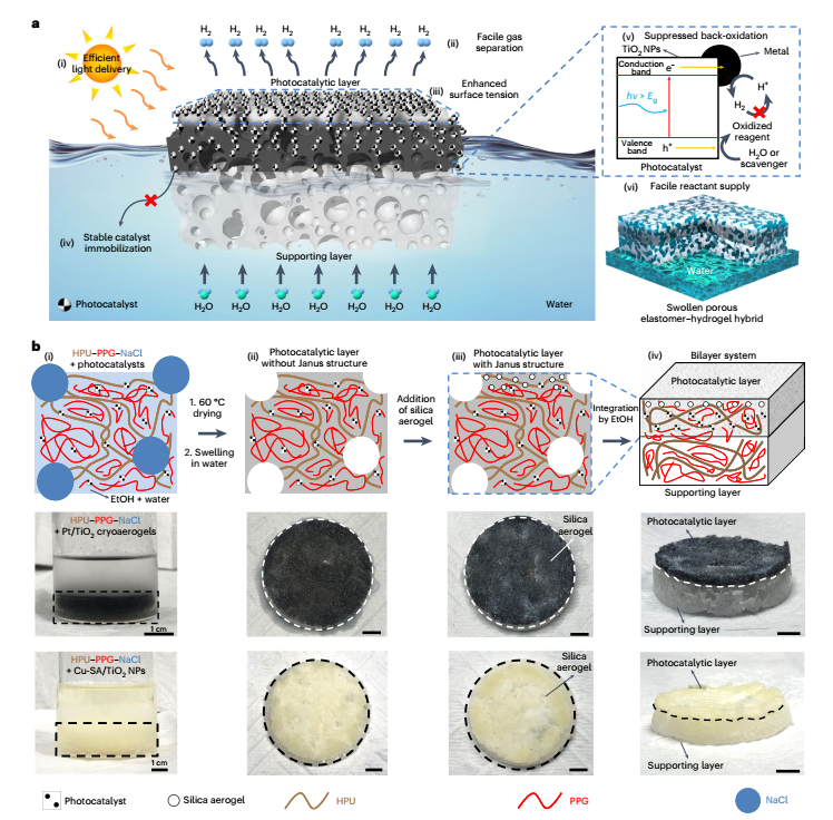 Nature Nanotechnology里程碑突破！光催化產(chǎn)氫，實(shí)現(xiàn)大規(guī)模應(yīng)用！