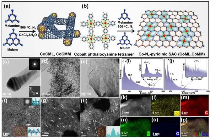 ?JACS：高分子輔助策略立大功！高密度鈷單原子催化劑強化析氧反應(yīng)活性