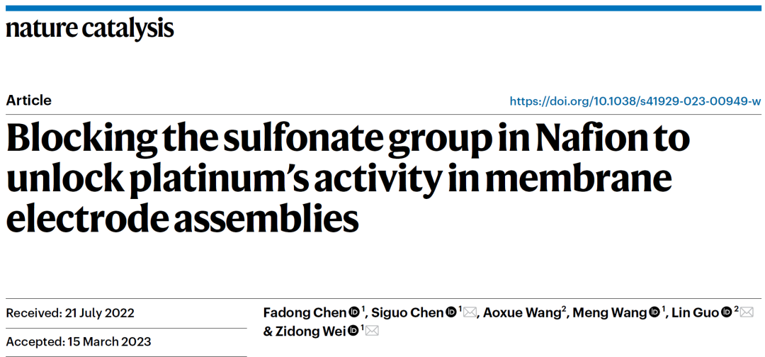 陳四國/魏子棟等，最新Nature Catalysis！