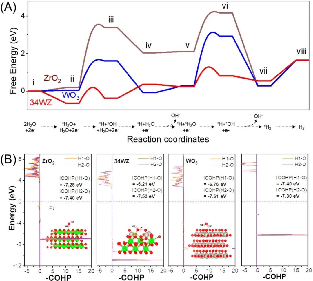 催化頂刊集錦：JACS、ACS Catalysis、Small、JMCA、CEJ、Angew、Carbon Energy等成果