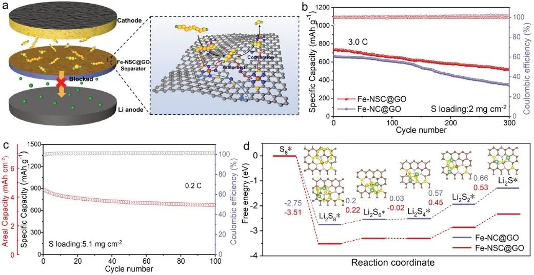 北化工AFM：Fe-NSC@GO實現(xiàn)高性能Li-S電池