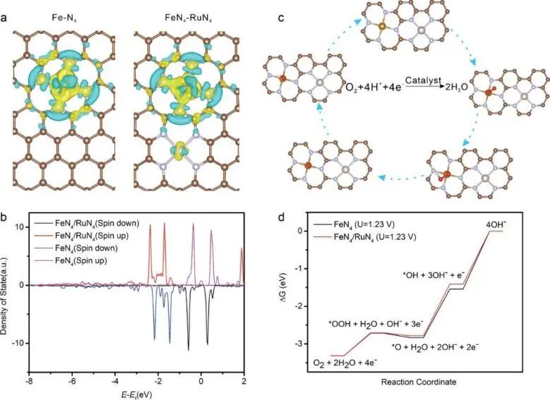 催化頂刊集錦：JACS、Nat. Commun.、AFM、ACS Catal.、Adv. Sci.、Small等