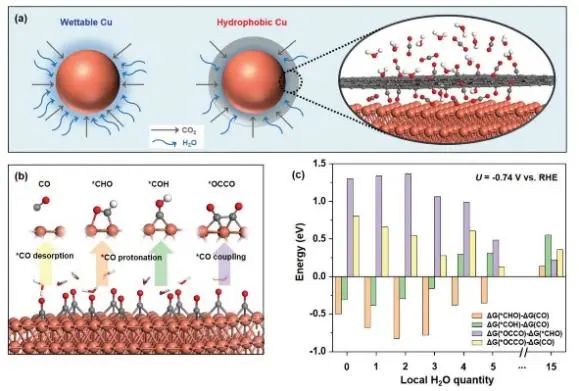 8篇催化頂刊：EES、Angew、ACS Catal.、Nano Energy、Adv. Sci.等