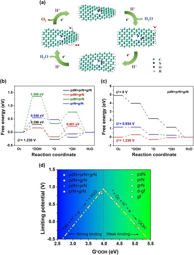 8篇催化頂刊：JACS、ACS Catal.、Nano Energy、JMCA、Chem. Eng. J.等成果