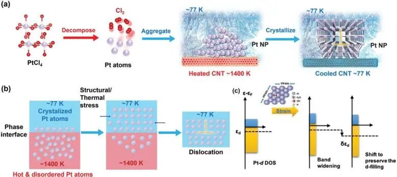 8篇催化頂刊：JACS、Nano Lett.、ACS Catal.、AM/Adv. Sci.、Small等最新成果