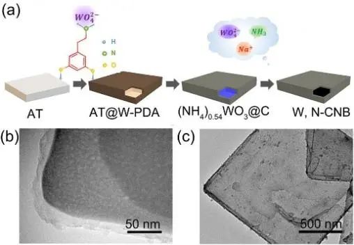 8篇催化頂刊：Nat. Commun.、ACS Nano、Nano Energy、Nano Lett.等成果