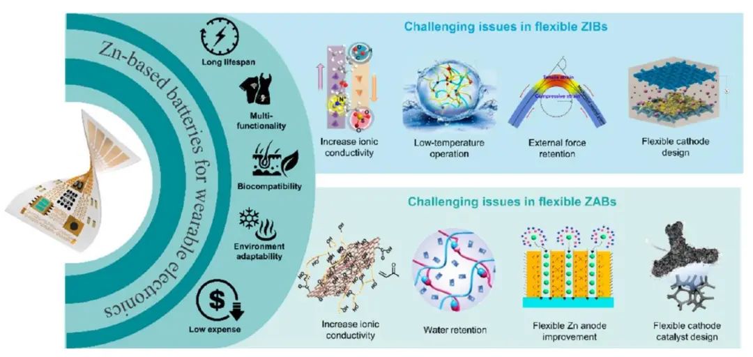 周光敏團隊ACS Nano：用于可穿戴電子設備的柔性鋅基電池的合理設計