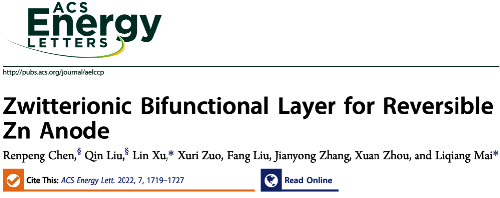 武漢理工麥立強(qiáng)ACS Energy Letters：鋅負(fù)極保護(hù)新策略！