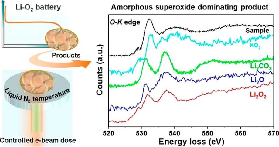 谷猛/韓兵等JACS：冷凍電鏡揭示鋰氧電池中非晶產(chǎn)物的本征原子結(jié)構(gòu)和化學(xué)性質(zhì)