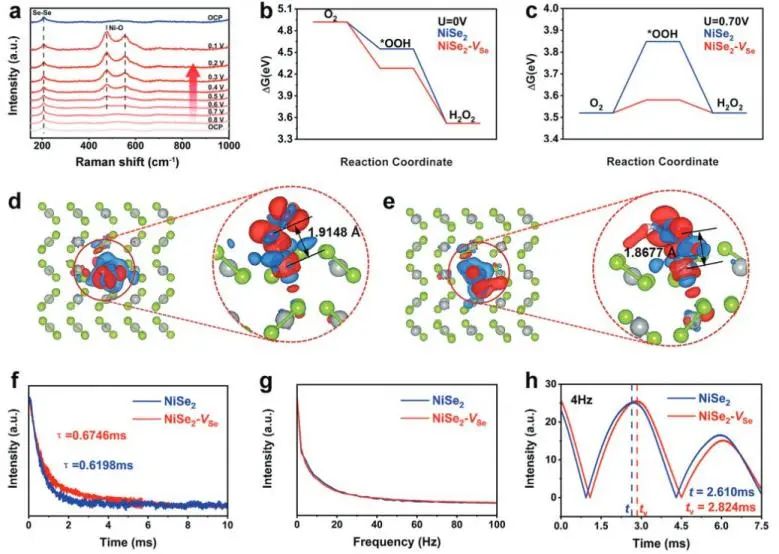 ?蘇大/柏林工大Adv. Sci.：硒空位起大作用，助力NiSe2-VSe高效穩(wěn)定電催化O2轉(zhuǎn)化為H2O2