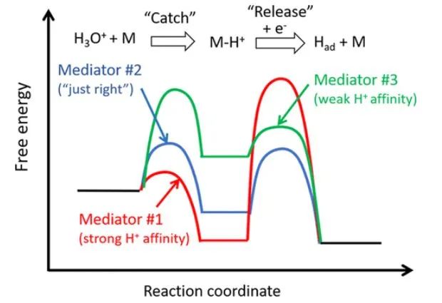 ACS Catal.：分子質(zhì)子介體增強(qiáng)單層MoS2的電催化HER活性