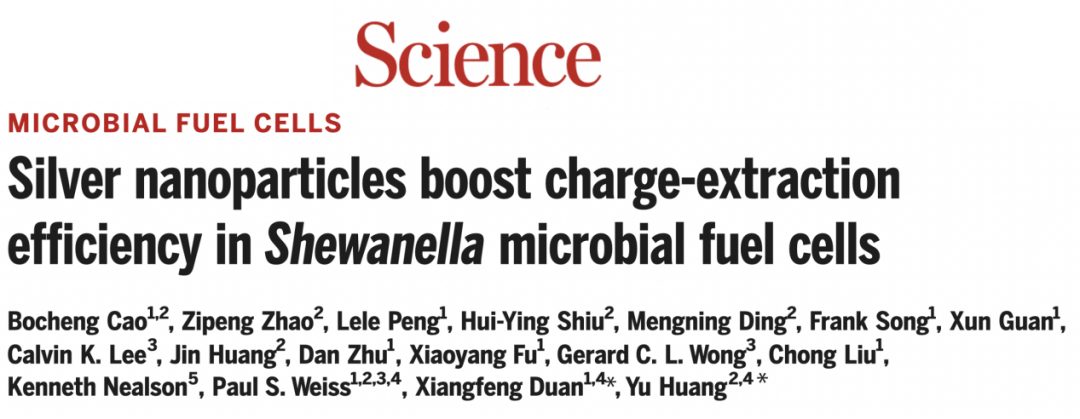 段鑲鋒/黃昱夫婦聯(lián)手發(fā)Science！