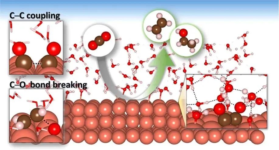 ACS Catalysis：電化學(xué)CO2還原為乙烯和乙醇的綜合機(jī)理：水-Cu(100)界面模型的溶劑效應(yīng)