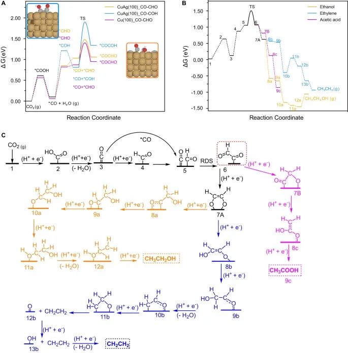 級聯催化，再登Nature 子刊！