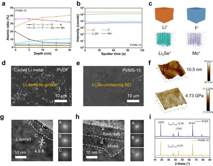 浙大陸盈盈，最新Nature子刊！