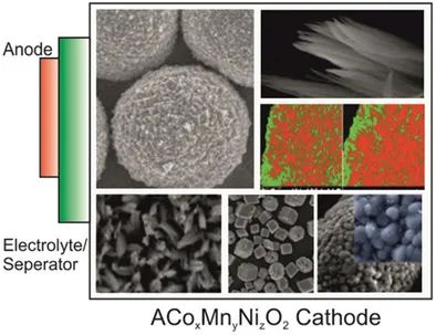 AFM：ACoxMnyNizO2和金屬氧化物作為金屬離子電池通用正極材料