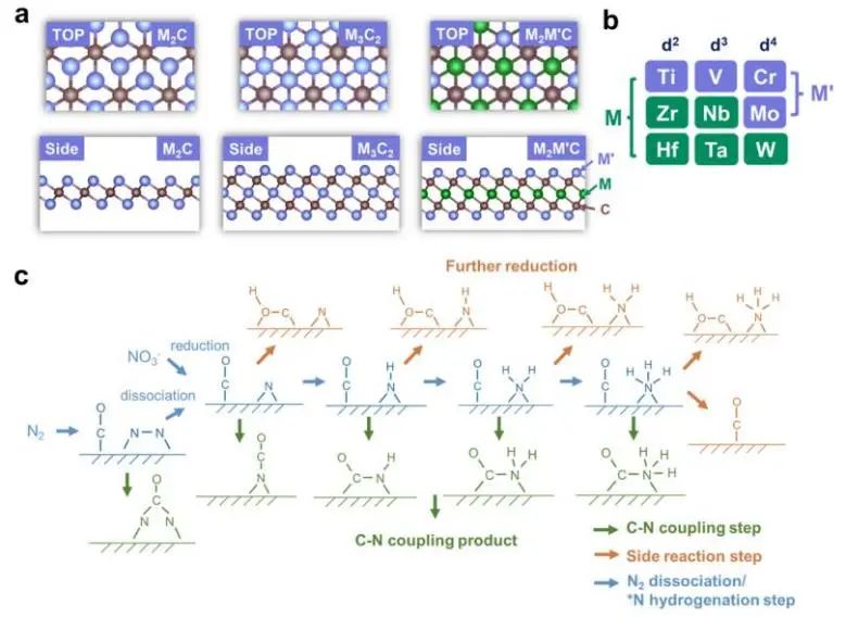 喬世璋/焦研JACS：理論計算+機器學習，揭示Mxene上C-N電偶聯(lián)反應的活性和選擇性路線