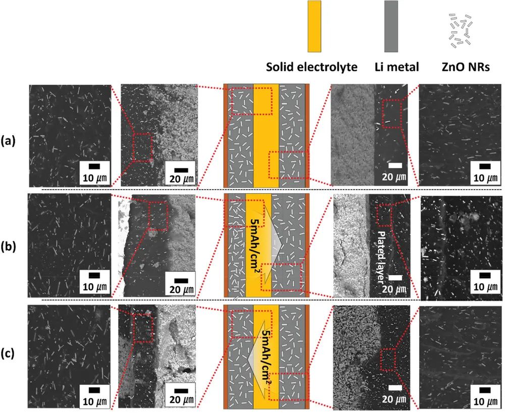 電池頂刊集錦：EES、EER、AEM、EEM、ACS Nano、Small等最新成果