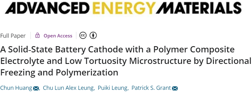 頂刊封面鑒賞！Advanced系列能源轉(zhuǎn)化與存儲(chǔ)類研究登頂大作