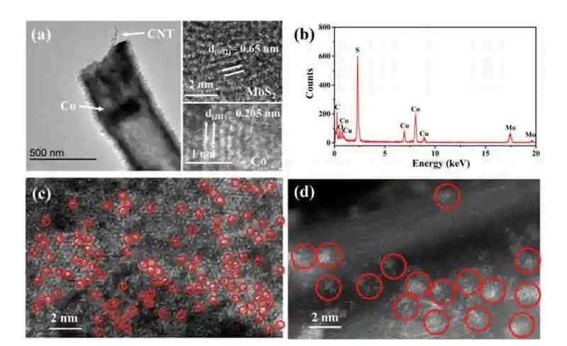 揚大倪魯彬Small：碳納米管MoS2包埋鈷原子團簇對鋰硫電池的固硫催化作用