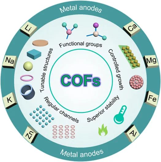 山大馮金奎ACS Nano：共價(jià)有機(jī)框架及其衍生物助力可充電池金屬負(fù)極