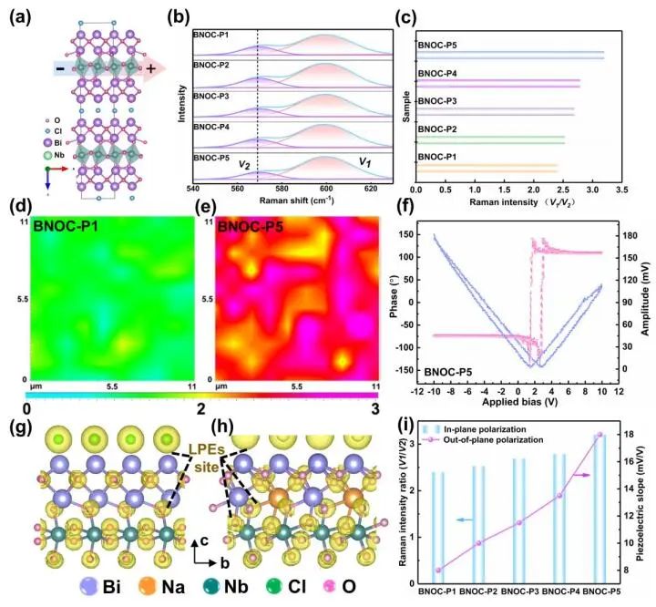 計算頂刊成果速遞：3篇Angew、2篇Nat. Commun.、JACS、AFM、Small等！