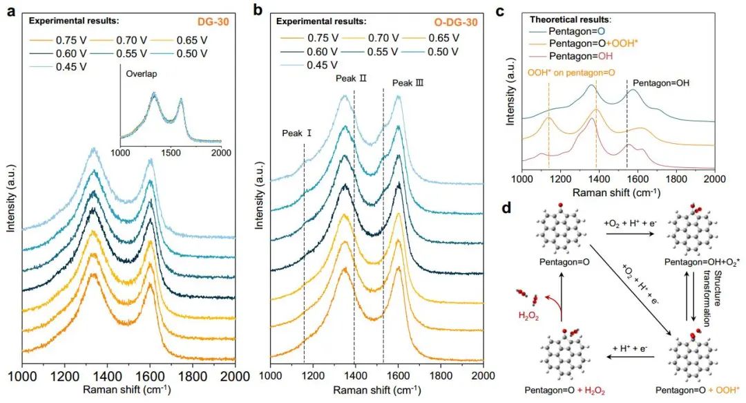 計算頂刊成果速遞：3篇Angew、2篇Nat. Commun.、JACS、AFM、Small等！