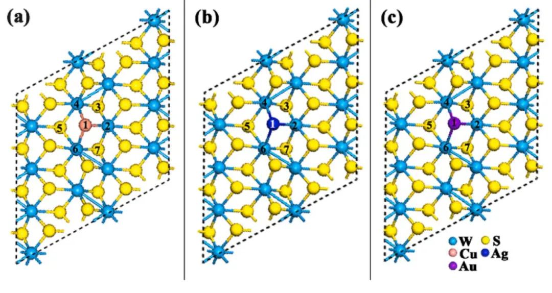 純計算Comp. Mater. Sci.：銅系金屬摻雜1T'WS2作為ORR和HER的高效雙功能電催化劑