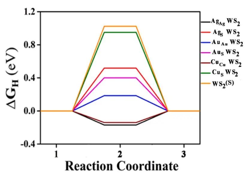 純計算Comp. Mater. Sci.：銅系金屬摻雜1T'WS2作為ORR和HER的高效雙功能電催化劑